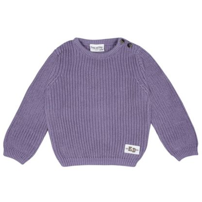 24083005 Frogs and Dogs sweater gebreid rib blue mauve smart club voorkant