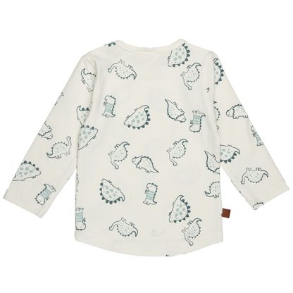 25026001 Frogs and Dogs t-shirt dino aop nice team achterkant