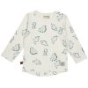 25026001 Frogs and Dogs t-shirt dino aop nice team voorkant