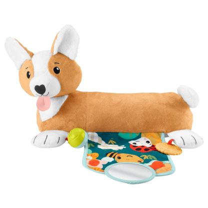 4583174 Fisher Price 3in1 puppy buikligtrainer