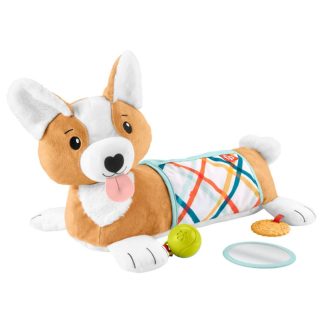 4583174 Fisher Price 3in1 puppy buikligtrainer met accessoires