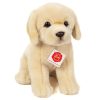 919551 Hermann Teddy Collection knuffel Golden Retriever zittend