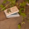 FI-03565 Filibabba badboek dino beach sfeerfoto met plant