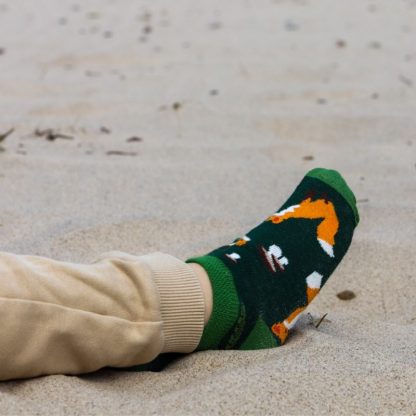 Faves enkelsokken vos groen sfeerfoto kind op het strand