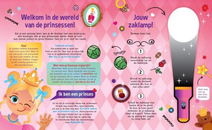 Lantaarn zaklampboek speuren met prinsessen personage en zaklamp